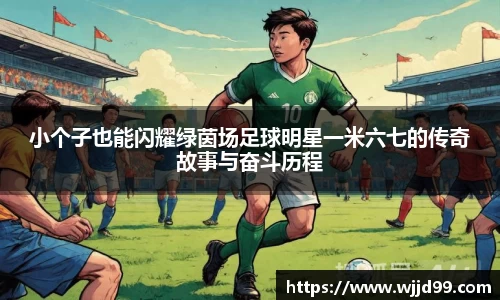 易游体育官方网站